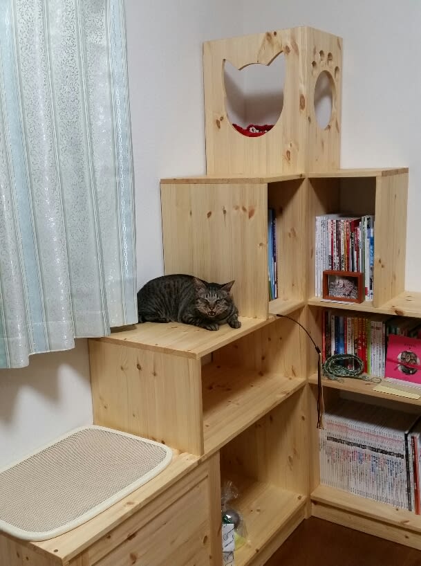 キャットタワー 手作りオーダー家具と木工教室「家具工房treehouse」 福岡県北九州市